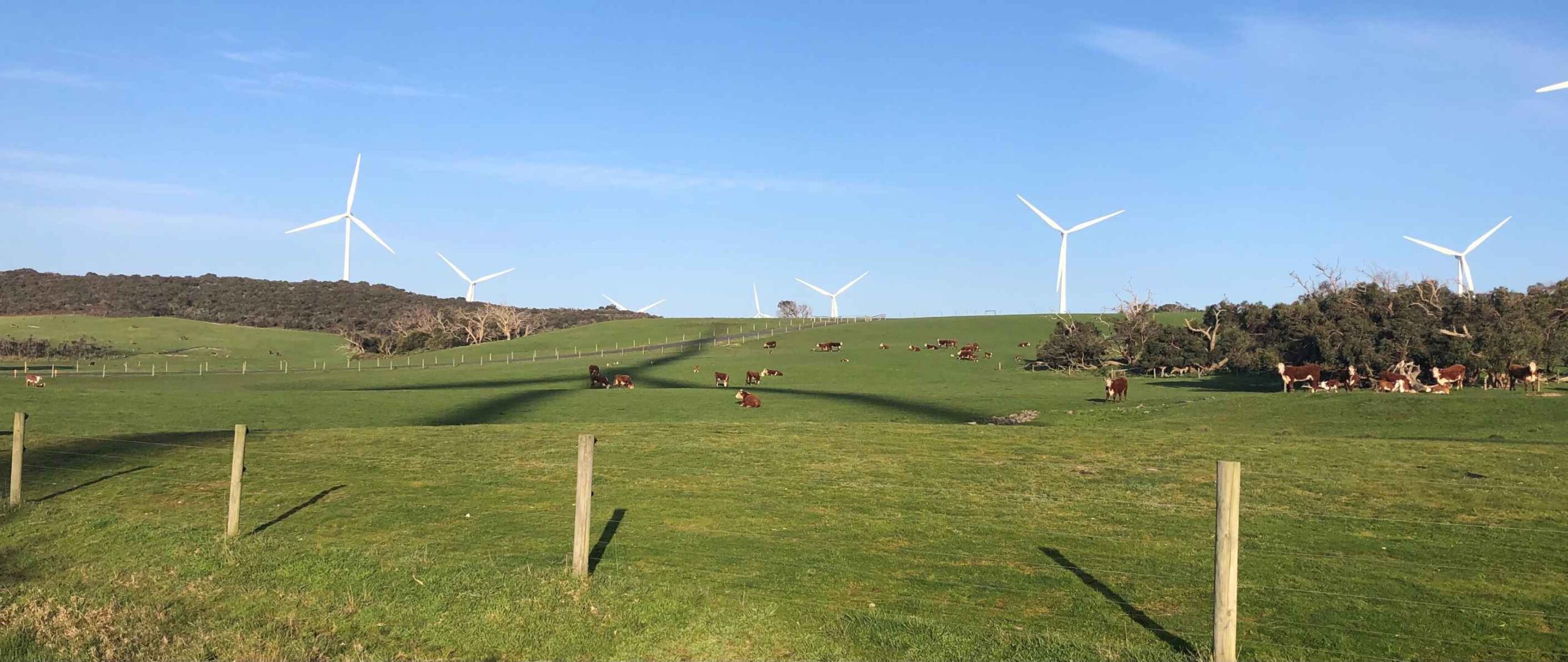 Turbines with shadows falling across a paddock in South Gippsland